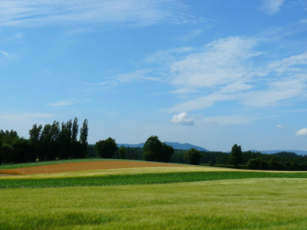 Furano Prince Hotel Dış mekan fotoğraf